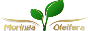 Moringa Oleifera - Nachhaltig, Lebensretter, Gesundheitsphänomen